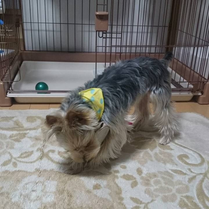 D430b466 d23d 4aff ae08 e107ad8e24d6