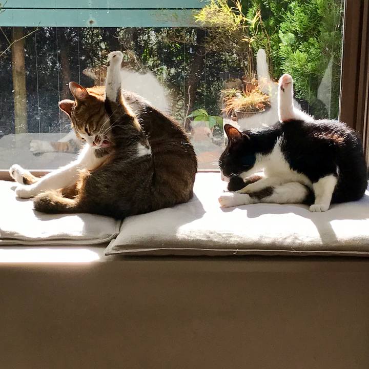 D43143b3 516b 40e1 9bc1 732de4814514