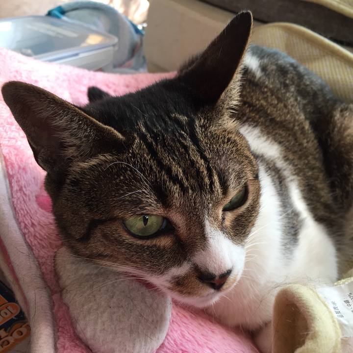 D4323480 f114 475b 9ab9 28c8f109fdb9