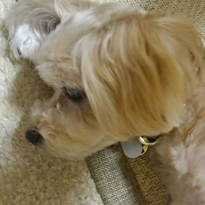 D4325e6f b14e 4c58 b568 aa432f13c2e8