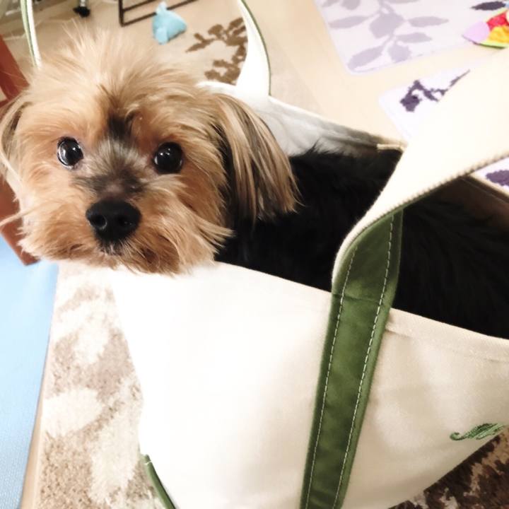 D432fcbd 350b 496e a776 6191c8d981ff