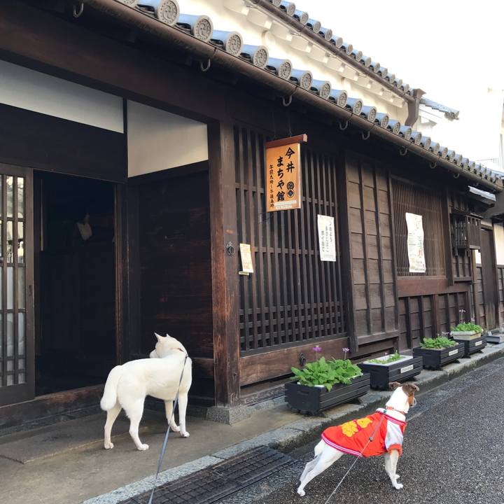 D4331db2 1b50 49fe 8c5c 1b512427b77a