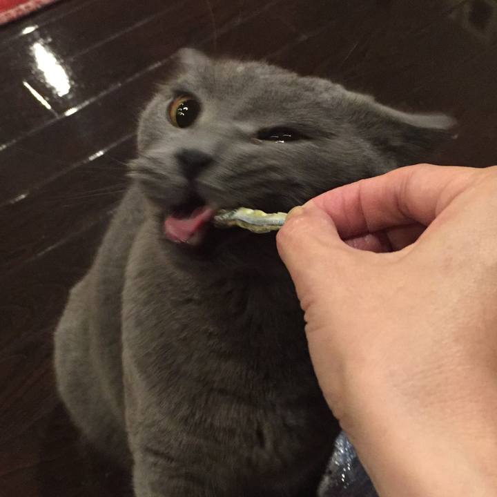 D43347f4 968d 4ec1 a82e f74accfdf663