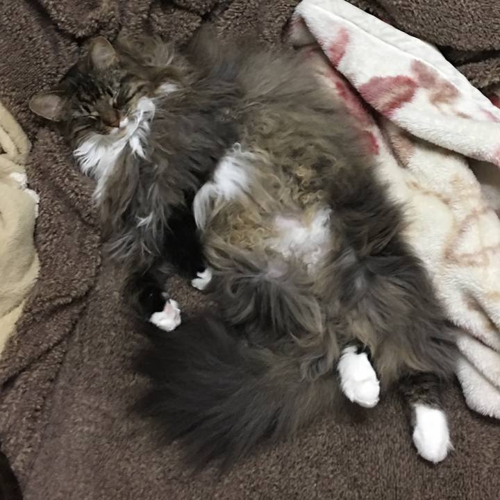 D4337fc9 fc79 41e9 af7f eed142959bc3