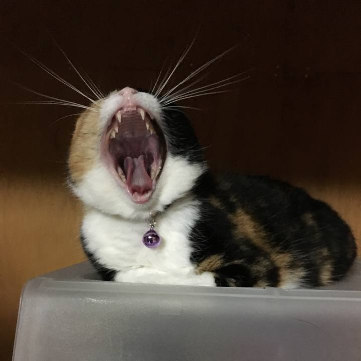 D43399a6 ec6f 406c 92fc 5ad752592202