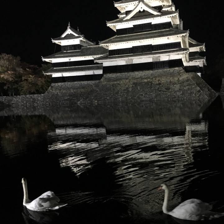 D43558e2 5cb2 4a92 8645 e78959a83d92