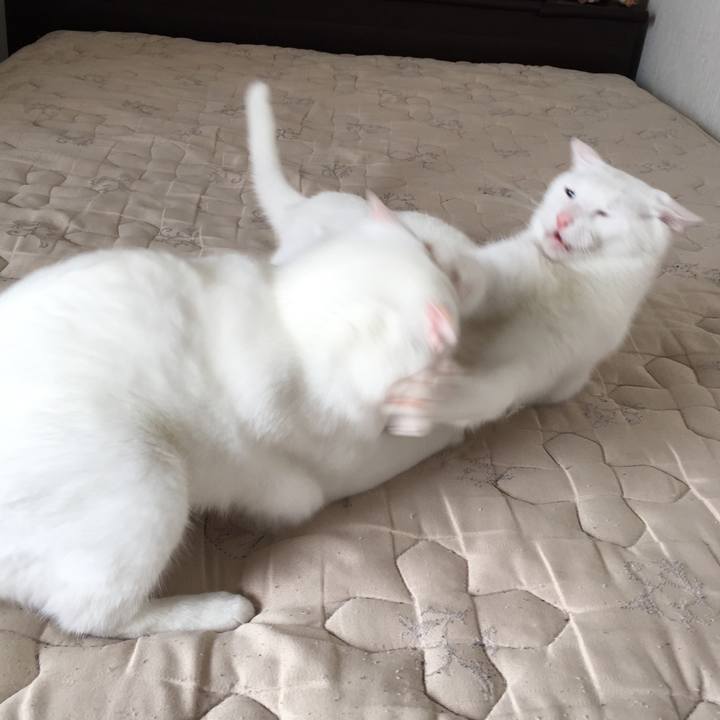 D43671d9 3948 4a79 811f a97daae30741