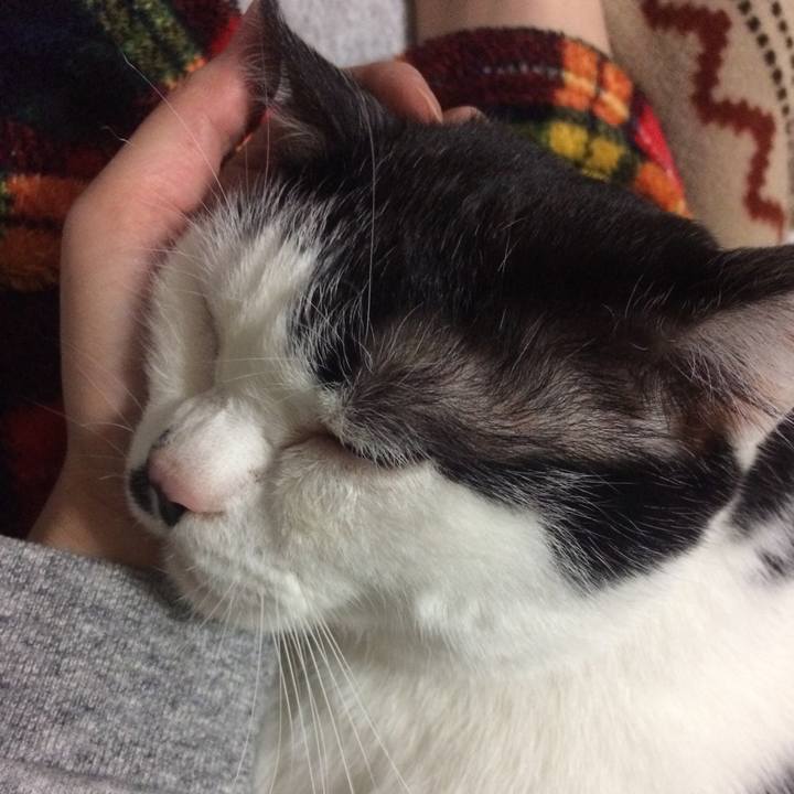 D436ff5b 431b 4478 895c 70c3047ff41d