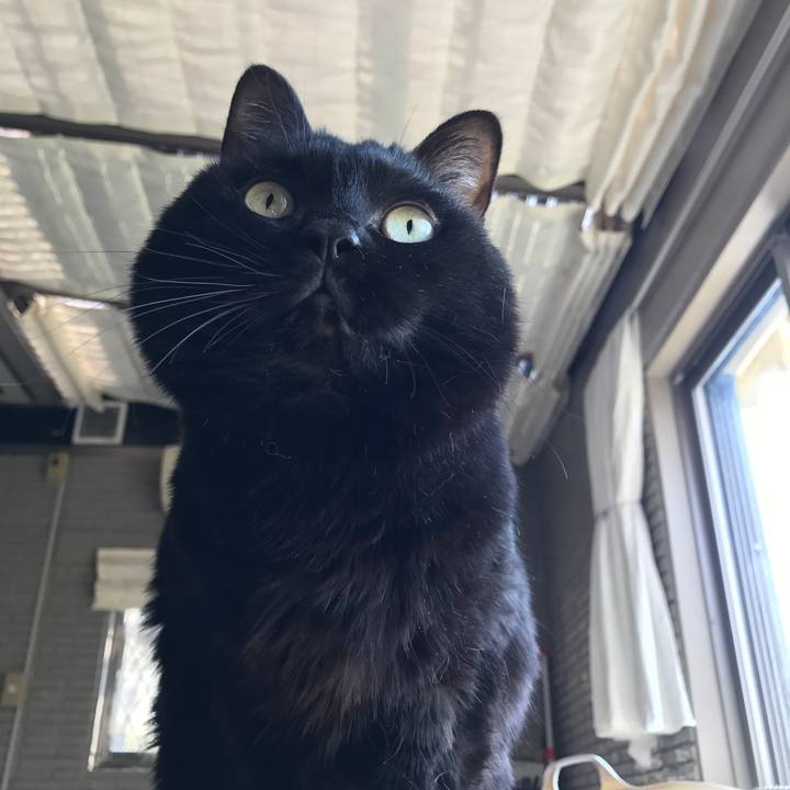 D437f1b4 44a4 4cd8 9dad 55b9c50f1b32