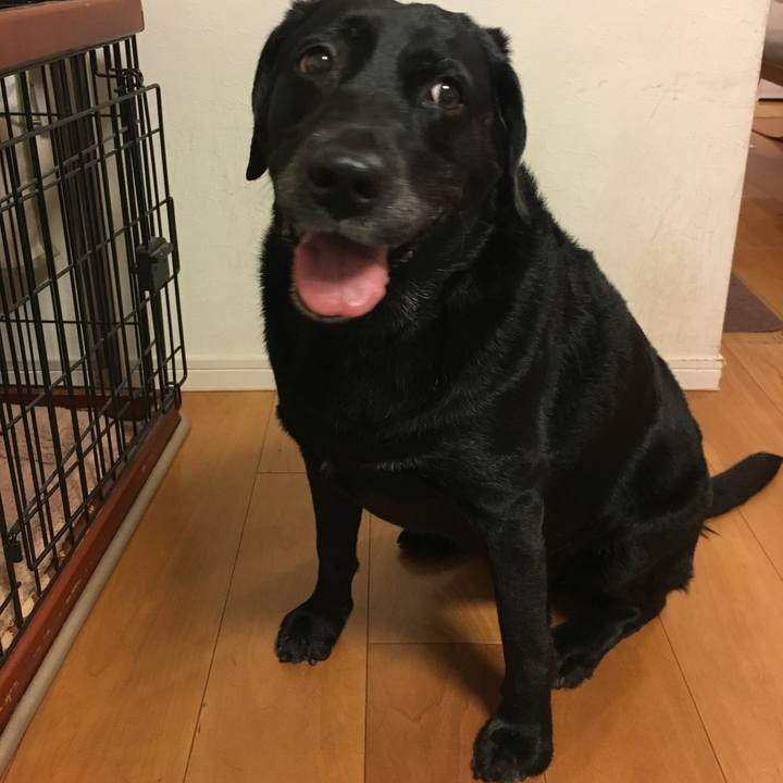 D4381668 7cce 4f9d b7de 46c13d05f829