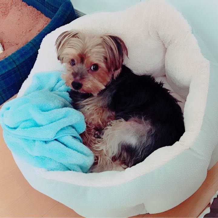 D4387a2f 8676 48df 845f 2413bb3bdad3