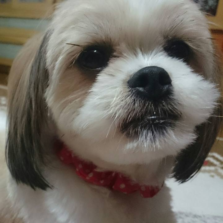 D43a6df5 f6b8 43e3 babe b6a832928e16