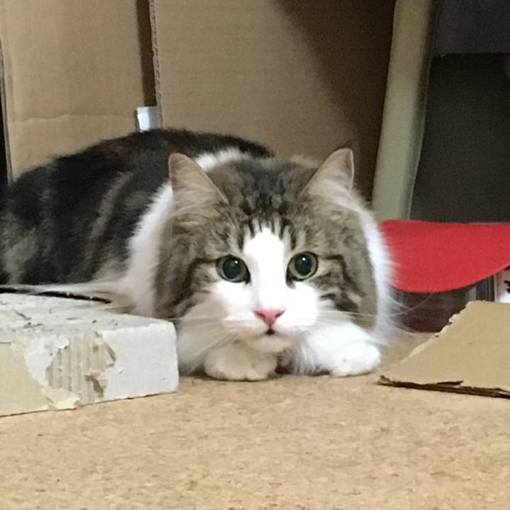 D43ada8a dad9 4c78 8120 f547a0a9284c