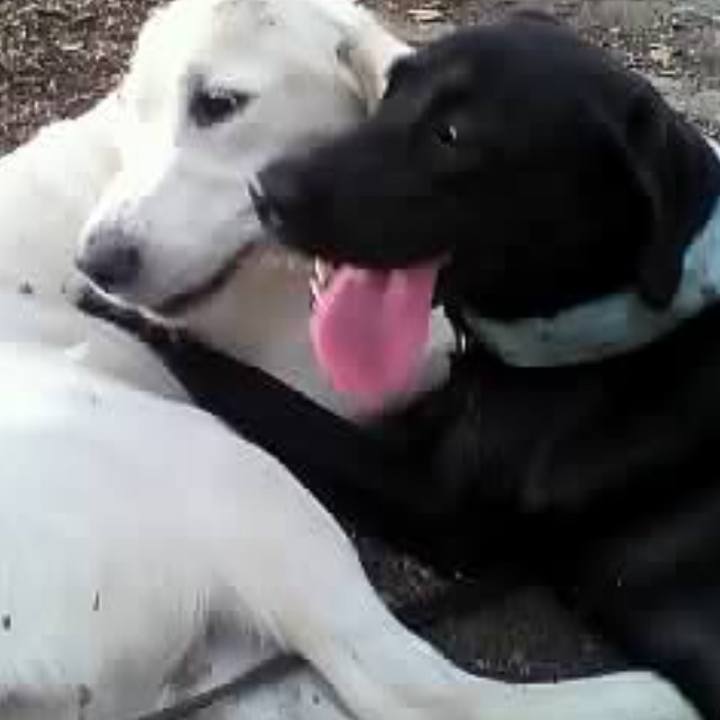 D43b482c c86f 49df 833e f23a48f7f18d