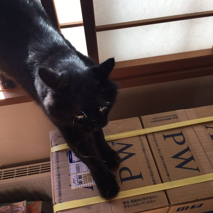 D43bb169 ba74 4103 a63c df226ee00ba2