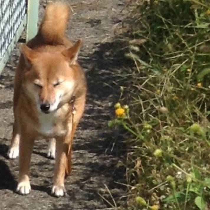 D43bcd3e b425 47e2 a44a 487441ca2141