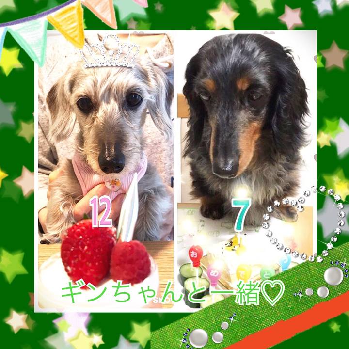 D43bfe93 6000 4f2b b5c7 884a3f9609ab