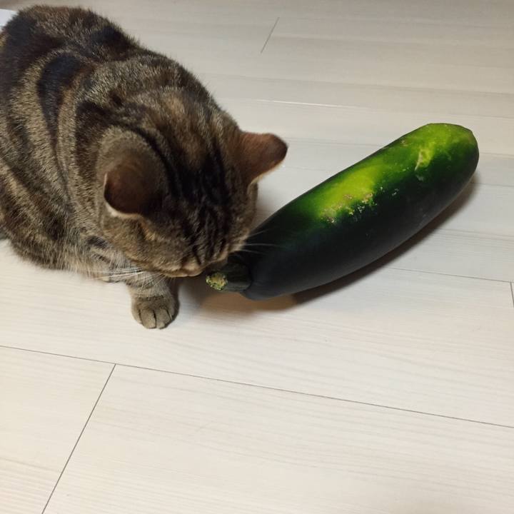 D43ca985 11c2 4220 b15b d23317e72974