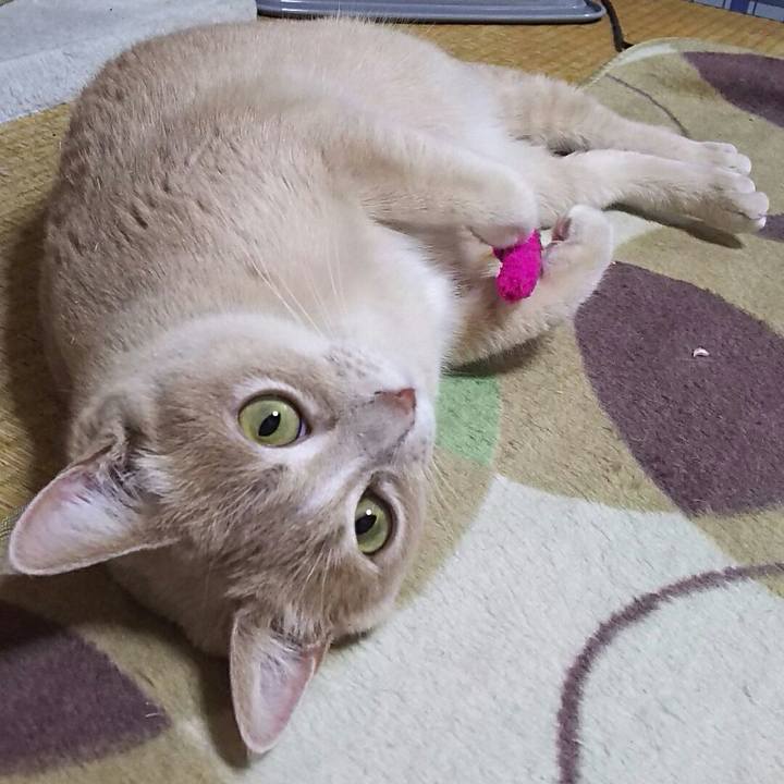 D43cd722 2bd5 4355 8a2d 41c46e5abeb7