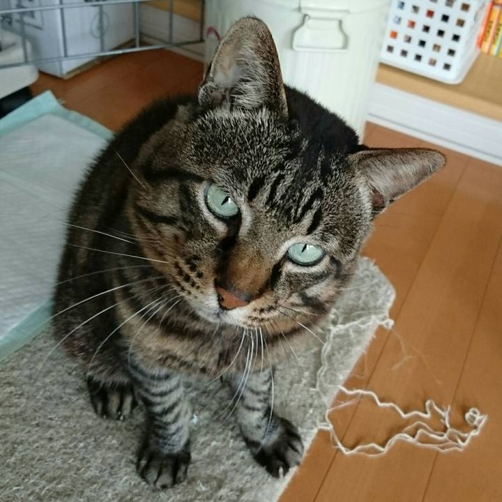 D43ce962 f353 4eec 9400 3cfaaee0eaba