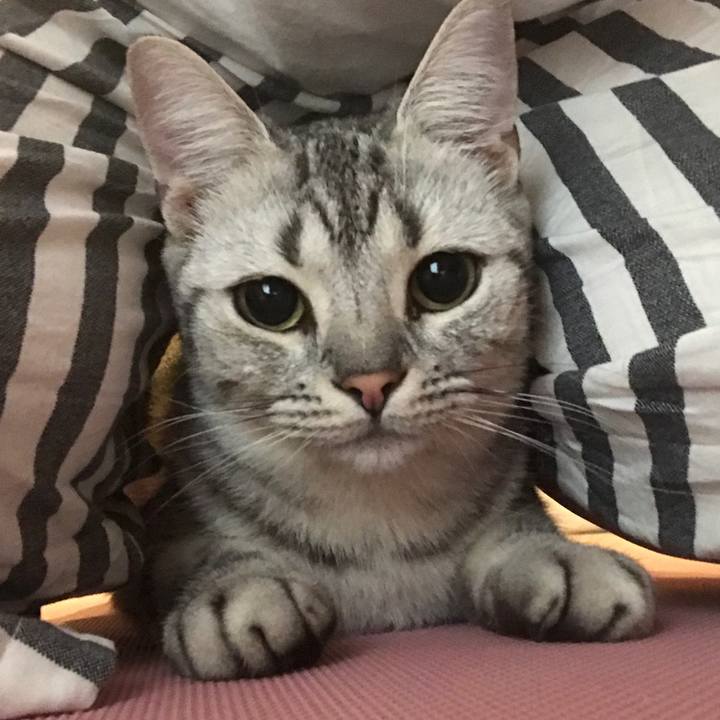 D43d30db 4710 48be bcde a635850a5f02