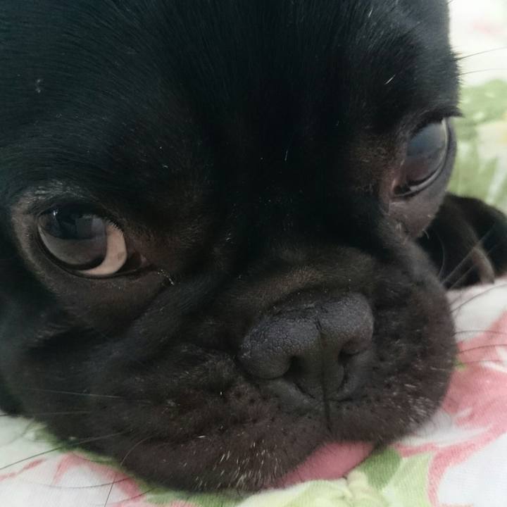 D43dc95c c89d 45ed ad48 cc698d381f81