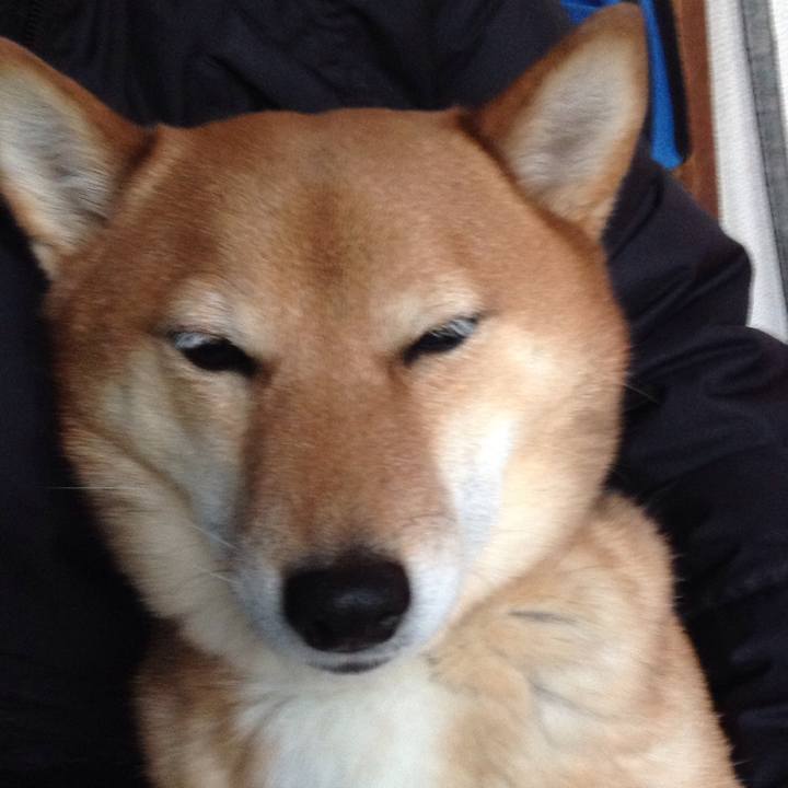 D43e40ba 72bb 4ae3 80b4 5ebb0e970696