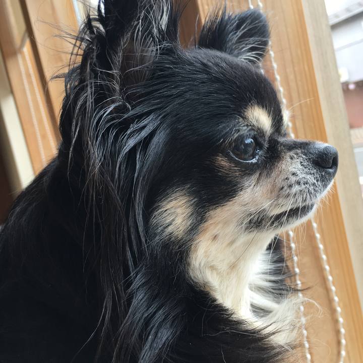 D43e4d03 fe8f 4ada ac11 6ccc3fa77607