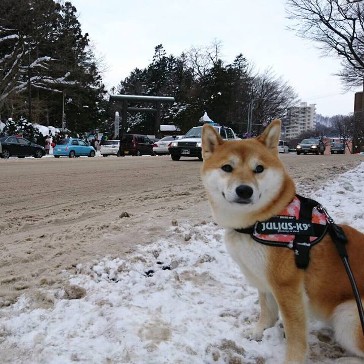 D43f2c22 df78 4cf7 8e3d f34d4cc57664