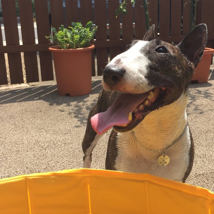 D44014ac 735b 4491 8303 6461b06edba9