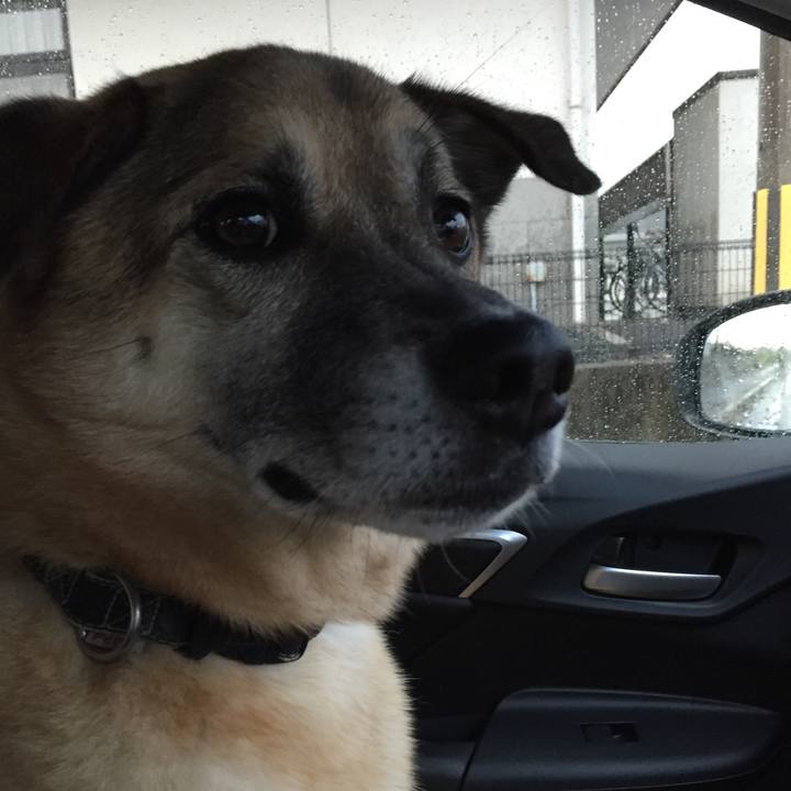 D4401acb ba92 44b9 a632 65e8595dd970