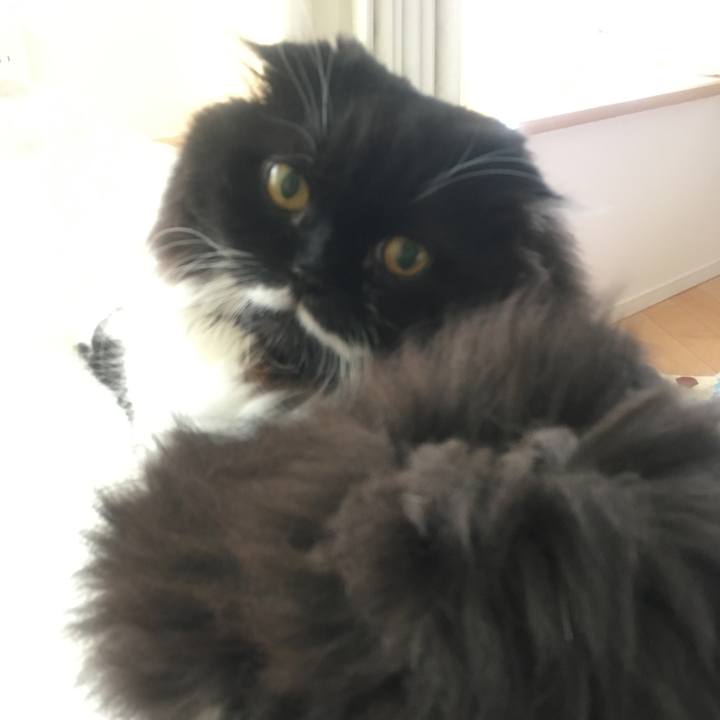 D440273d 0e6c 465d b7be 843713541c14