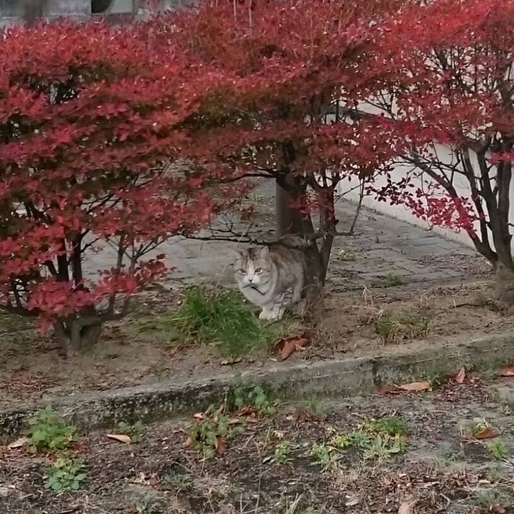 D440831d df62 4d59 a8ef aa1d090f2a26