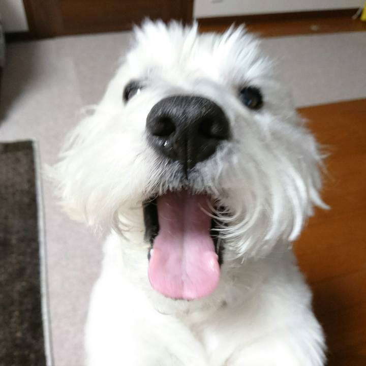 D4417c23 967c 4089 8b8b 958f78a91228