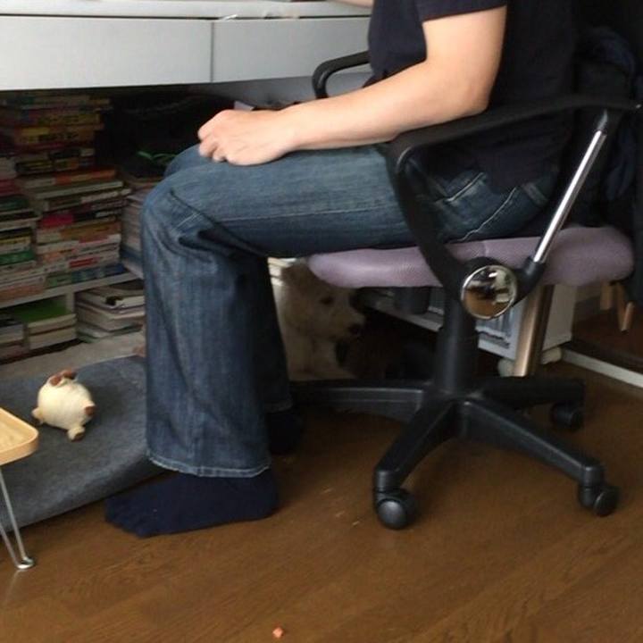 D441d7bd e930 40a8 ab7e 05c10146ae9c