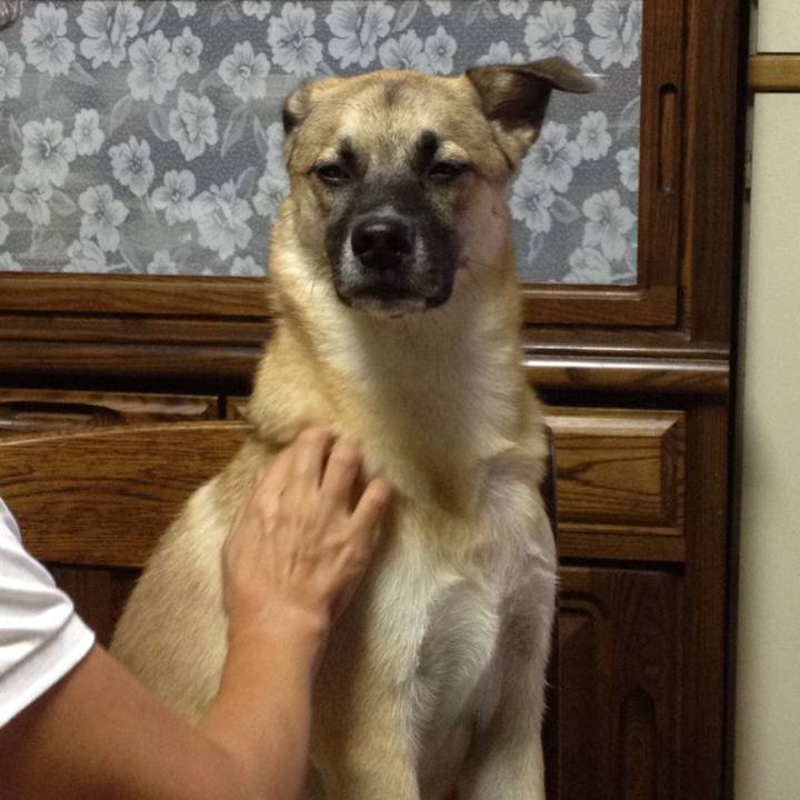 D4428458 71d1 488a 9654 114273512249