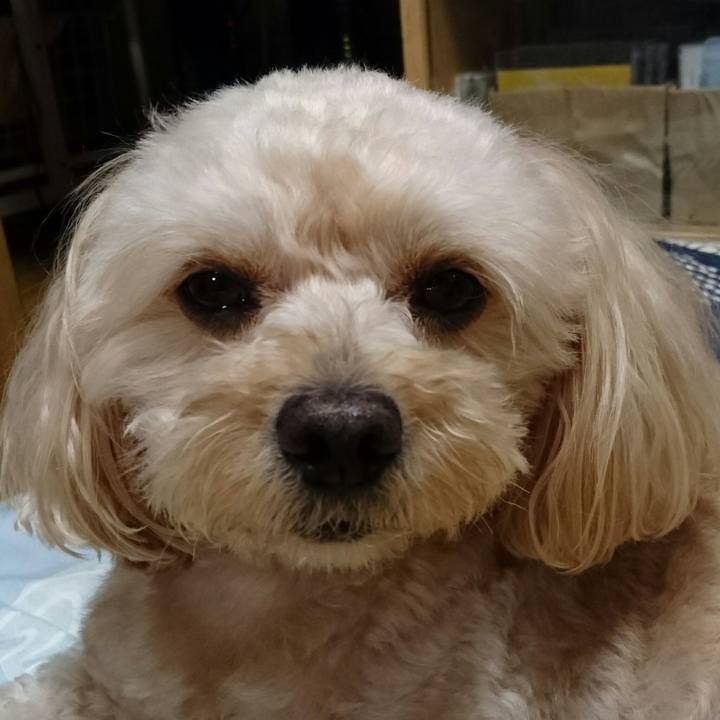 D442e172 baec 4e2d 82a0 e300e24d36b8