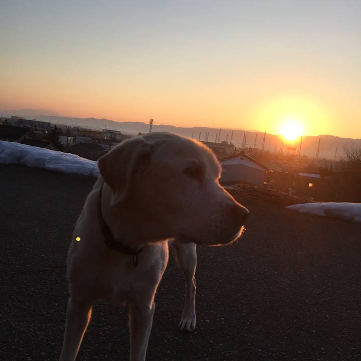 D442f0bb 9028 4266 8a3f d0d58ef36eaf