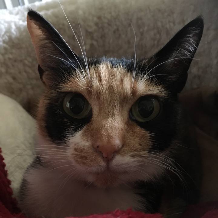 D4431d4d 1df3 48b8 936f 77f9f3a30f3c