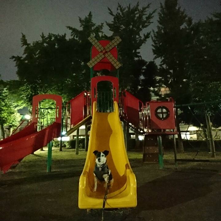 D443948c 845c 48a9 b3c6 651d68ed4ef4