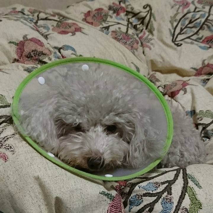 D443a5f9 7a19 475f bc47 3d931de2f19f