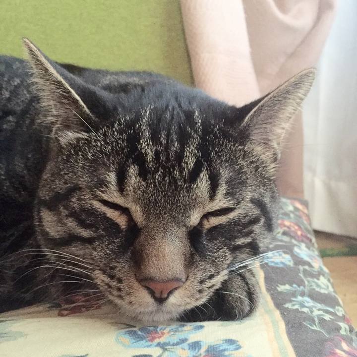 D444cde0 db34 401a ab05 e24cc756217d