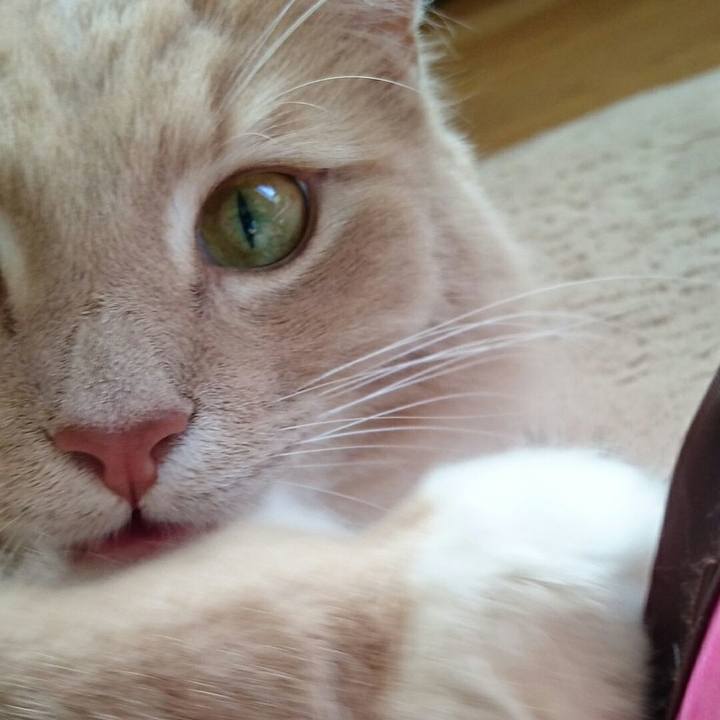 D444e2b3 0917 47cf 8f37 d1f325e1ece8