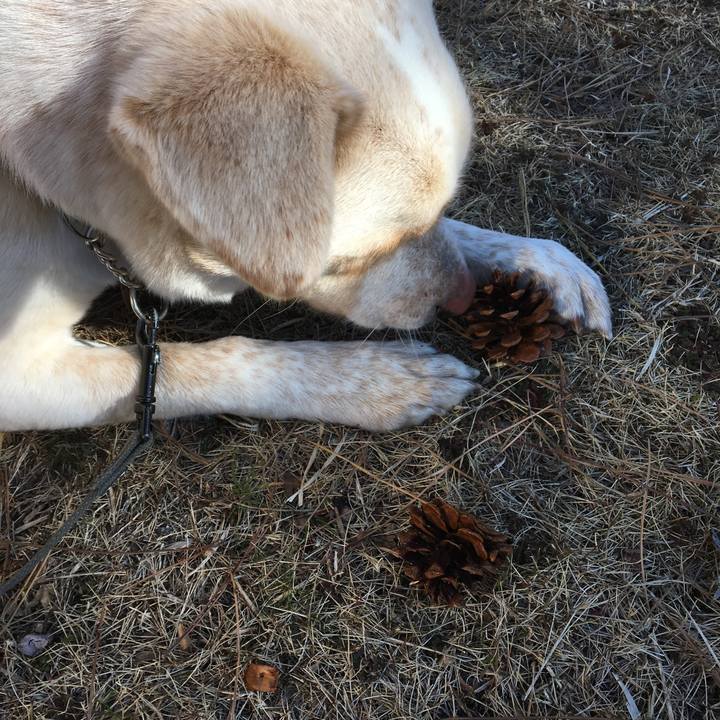 D445157d d758 44b9 9695 3cb639d64d46