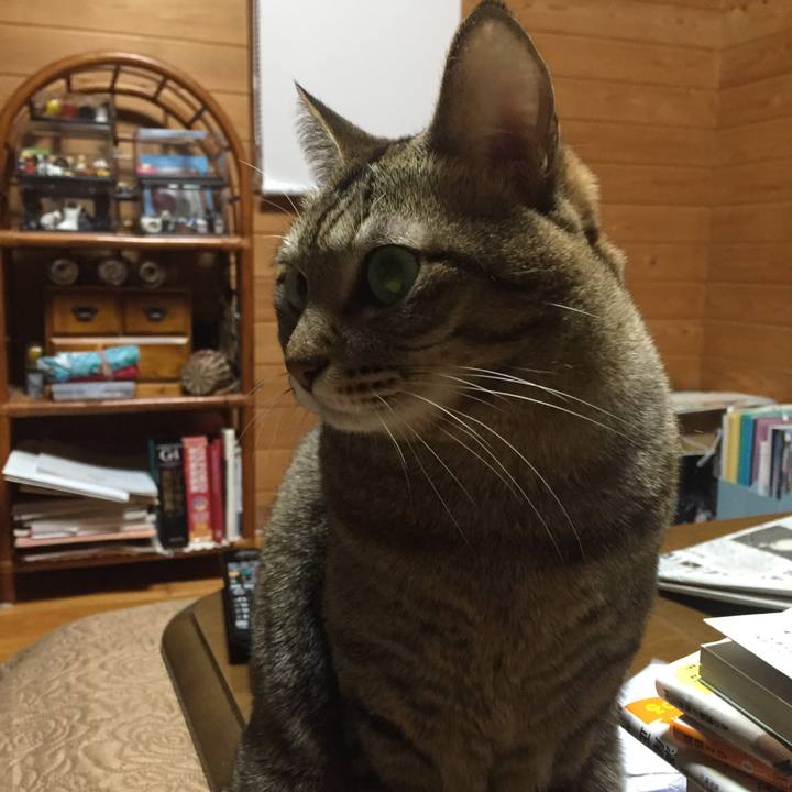 D44517db 2eeb 4a64 96df 34581b37b07a