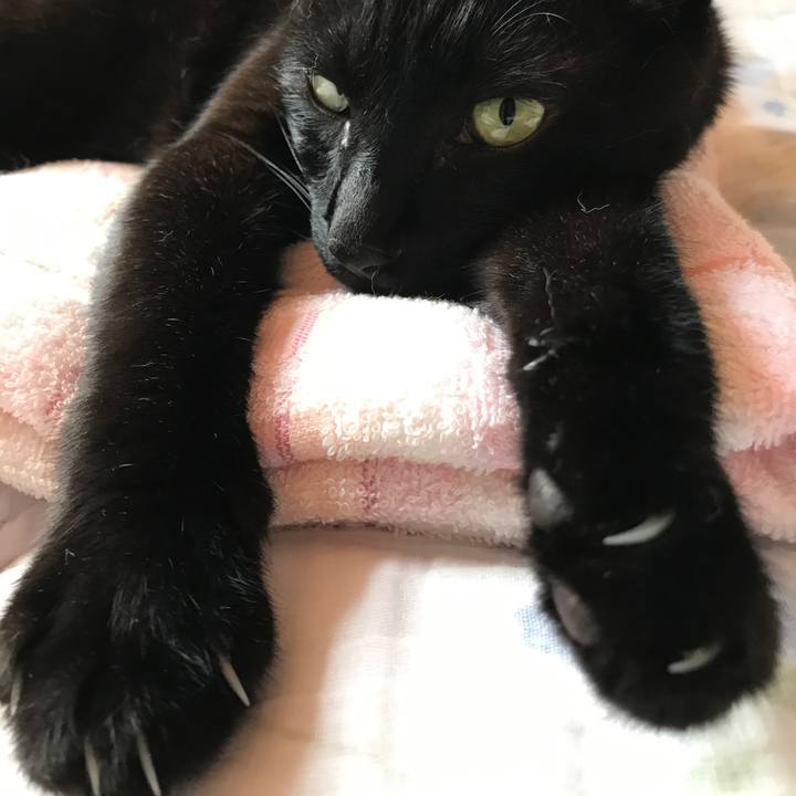 D446b4c1 a56c 4b78 8ae0 8b891735f415