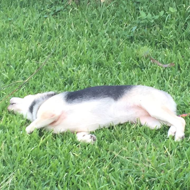 D446b8ae 5523 45b4 a4d2 19da2deea8e0