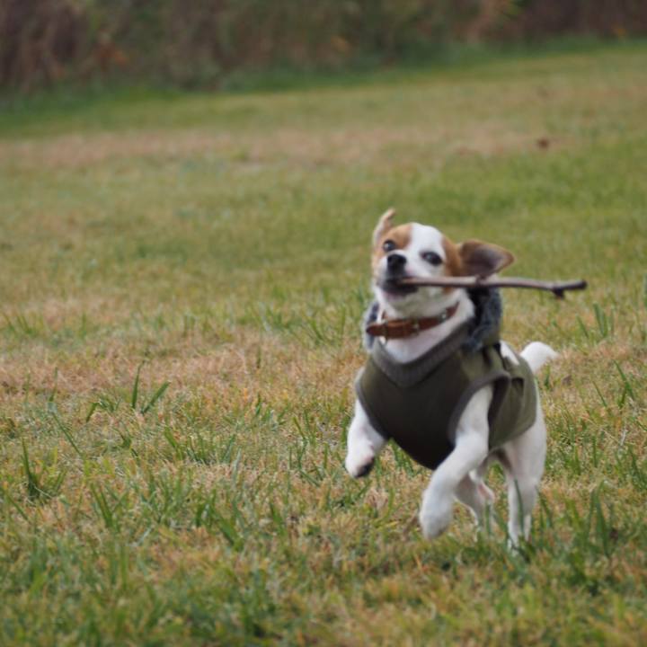 D447a1b6 34aa 4d11 bd56 e951b481f5e8