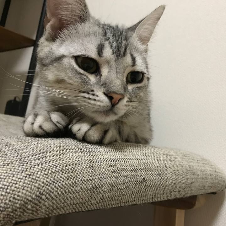 D447c65a 2080 46b3 8fd1 537f12f46219