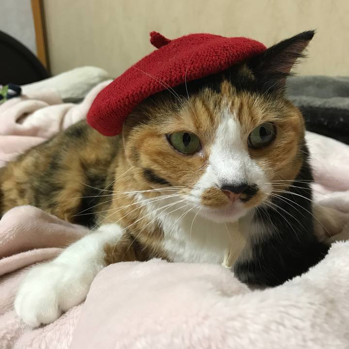 D447f9ae 9e8b 4997 b5ac 8221aba71720